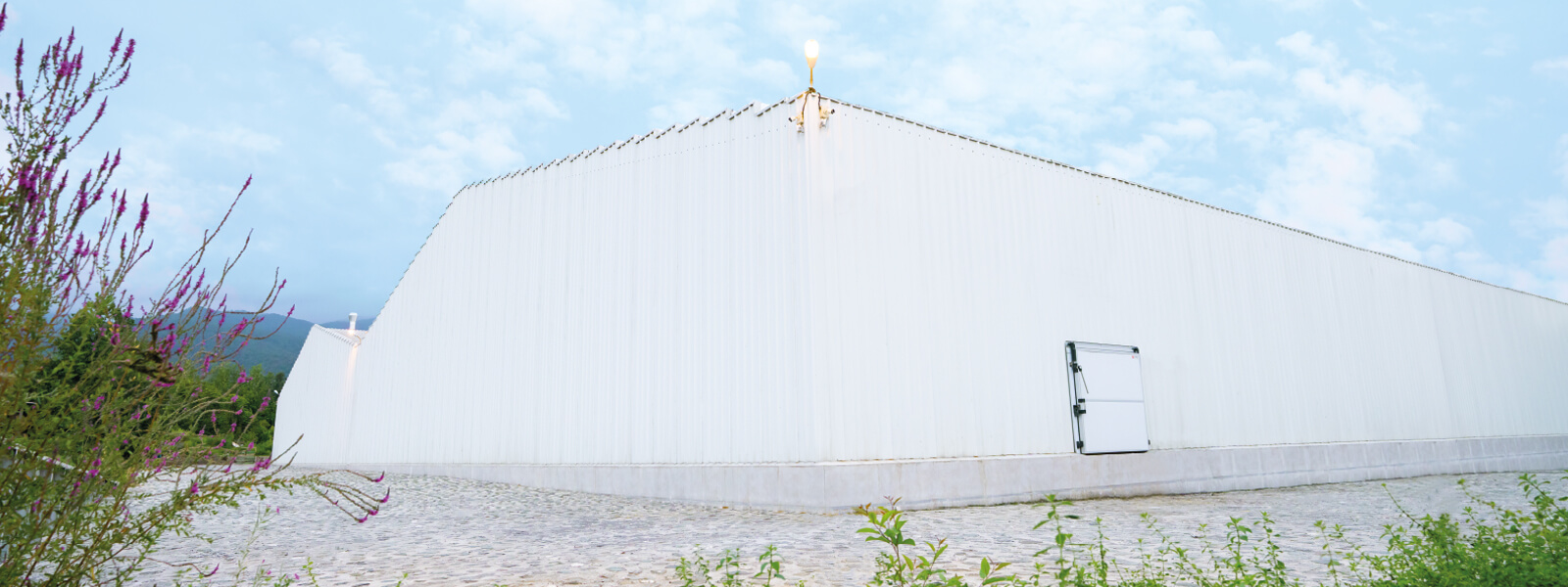 طراحی، اجرا و نظارت در مراحل ساخت کارخانه جوجه کشی